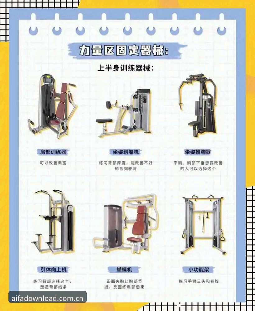 aifa体育功能介绍 aifa体育功能介绍完整指南:新手快速上手的实用操作手册